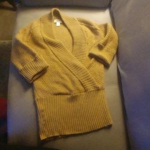 Ann Taylor the loft sweater